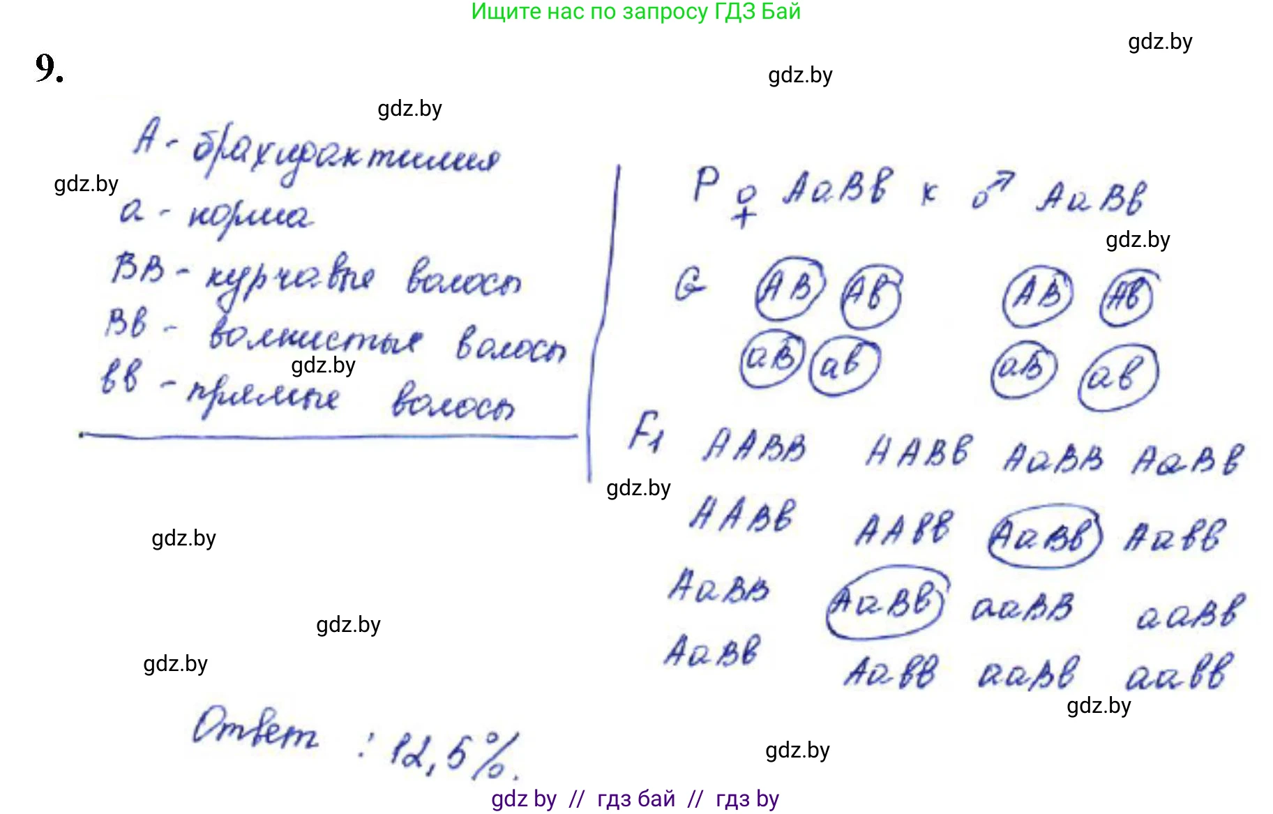 Биология, 11 класс Тетрадь для лабораторных и практических работ, автор: Хруцкая Тамара Викторовна, издательство Аверсэв, Минск, 2021, жёлтого цвета, страница 64, номер 9, Решение