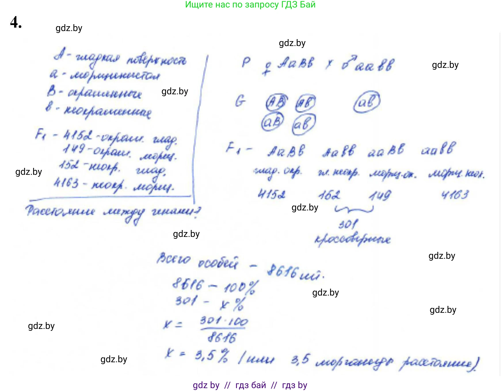 Биология, 11 класс Тетрадь для лабораторных и практических работ, автор: Хруцкая Тамара Викторовна, издательство Аверсэв, Минск, 2021, жёлтого цвета, страница 67, номер 4, Решение