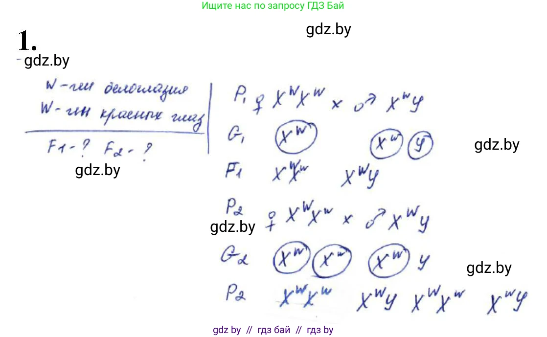 Биология, 11 класс Тетрадь для лабораторных и практических работ, автор: Хруцкая Тамара Викторовна, издательство Аверсэв, Минск, 2021, жёлтого цвета, страница 71, номер 1, Решение