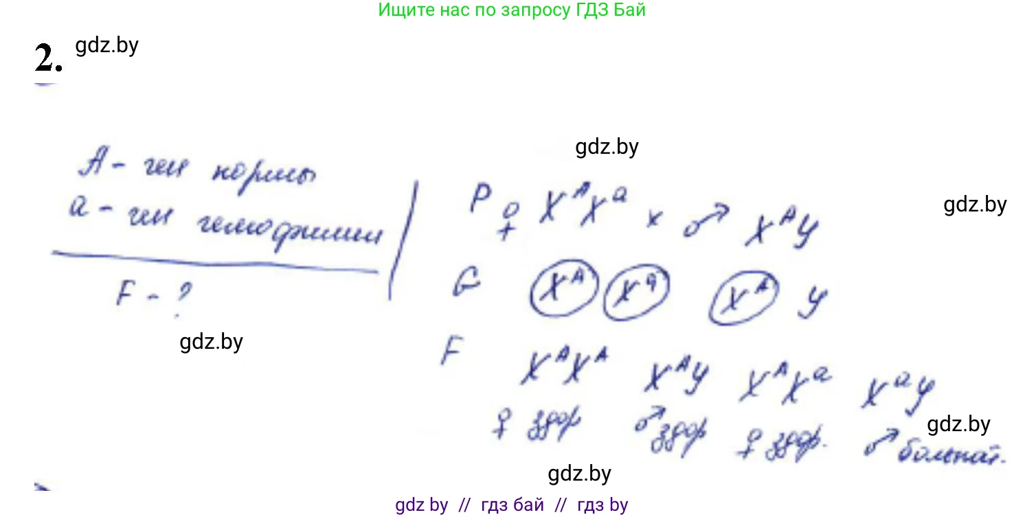Биология, 11 класс Тетрадь для лабораторных и практических работ, автор: Хруцкая Тамара Викторовна, издательство Аверсэв, Минск, 2021, жёлтого цвета, страница 72, номер 2, Решение
