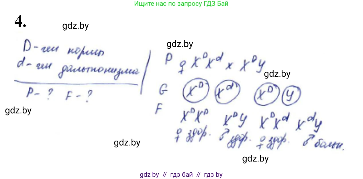 Биология, 11 класс Тетрадь для лабораторных и практических работ, автор: Хруцкая Тамара Викторовна, издательство Аверсэв, Минск, 2021, жёлтого цвета, страница 72, номер 4, Решение