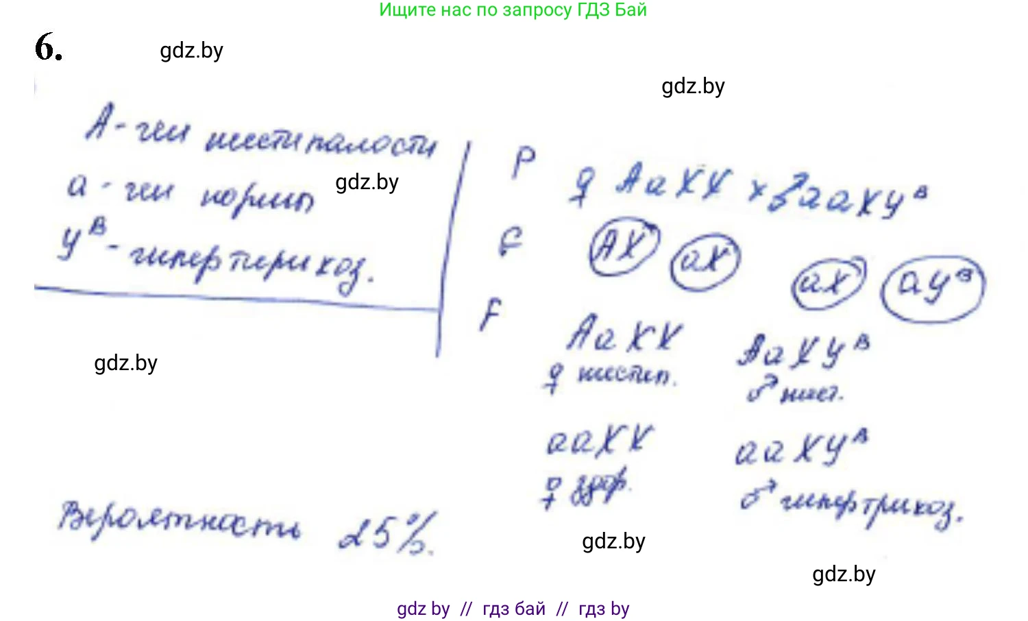 Биология, 11 класс Тетрадь для лабораторных и практических работ, автор: Хруцкая Тамара Викторовна, издательство Аверсэв, Минск, 2021, жёлтого цвета, страница 73, номер 6, Решение