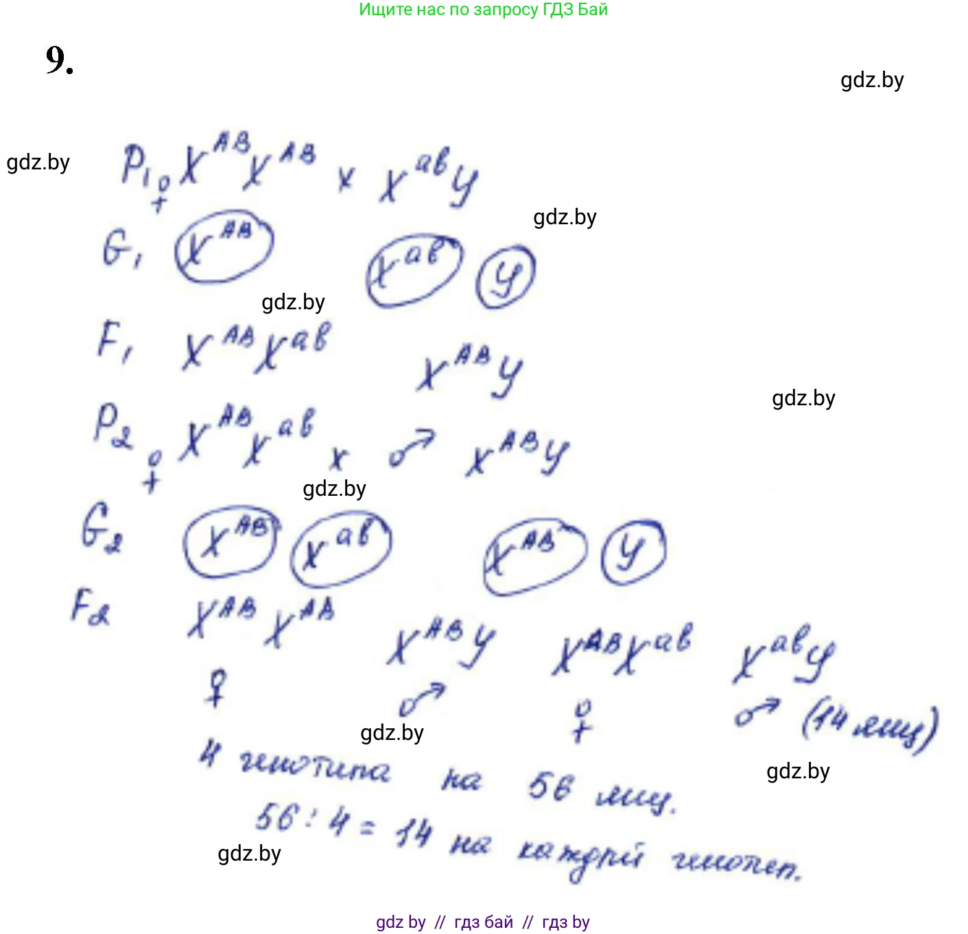 Биология, 11 класс Тетрадь для лабораторных и практических работ, автор: Хруцкая Тамара Викторовна, издательство Аверсэв, Минск, 2021, жёлтого цвета, страница 75, номер 9, Решение