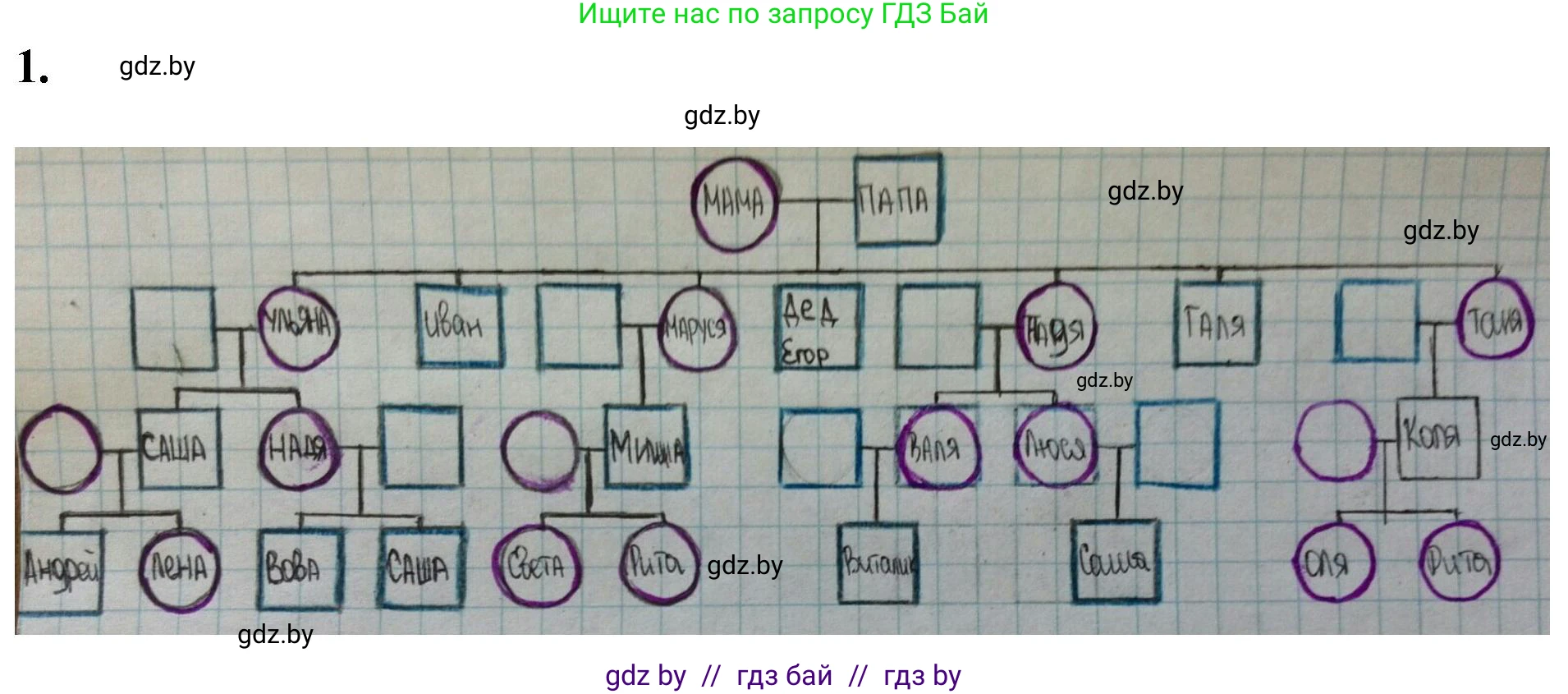 Биология, 11 класс Тетрадь для лабораторных и практических работ, автор: Хруцкая Тамара Викторовна, издательство Аверсэв, Минск, 2021, жёлтого цвета, страница 83, номер 1, Решение