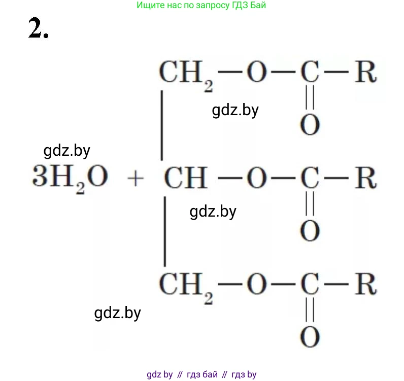 Биология, 11 класс рабочая тетрадь, автор: Хруцкая Тамара Викторовна, издательство Аверсэв, Минск, 2021, зелёного цвета, страница 13, номер 2, Решение