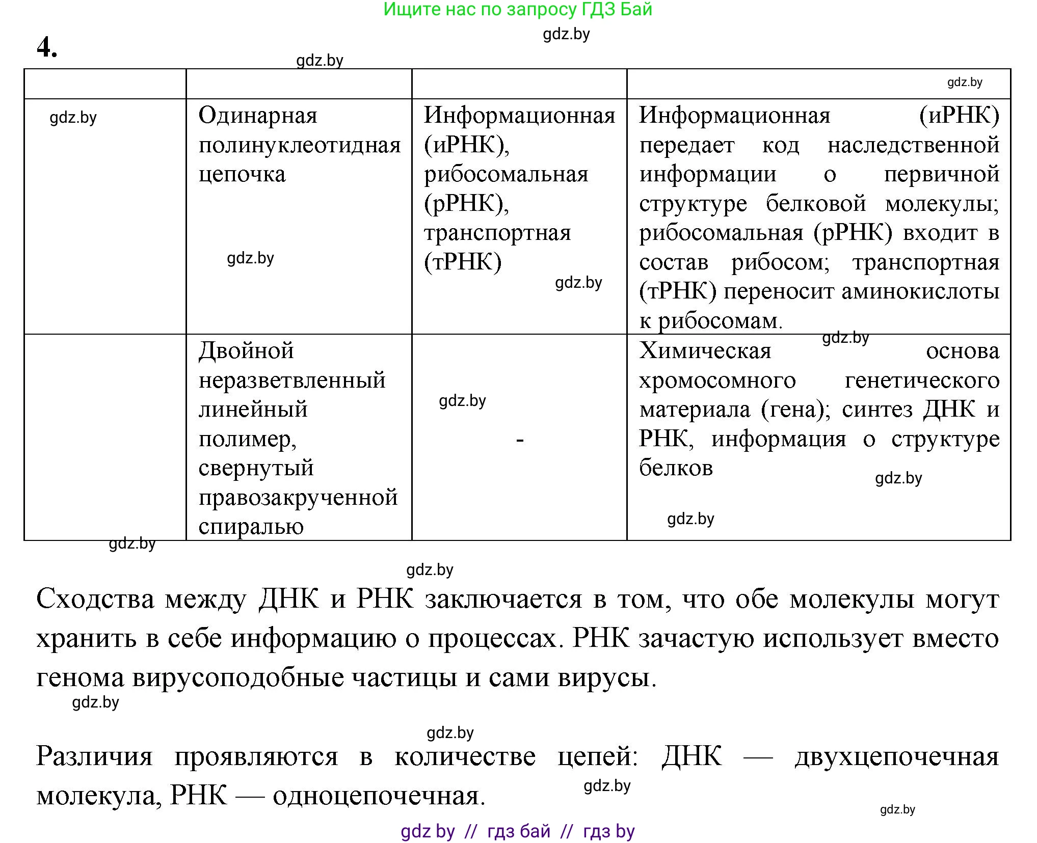 Биология, 11 класс рабочая тетрадь, автор: Хруцкая Тамара Викторовна, издательство Аверсэв, Минск, 2021, зелёного цвета, страница 17, номер 4, Решение