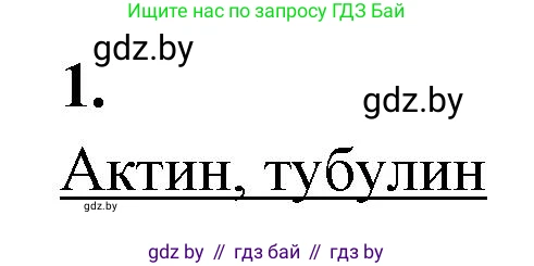 Биология, 11 класс рабочая тетрадь, автор: Хруцкая Тамара Викторовна, издательство Аверсэв, Минск, 2021, зелёного цвета, страница 23, номер 1, Решение