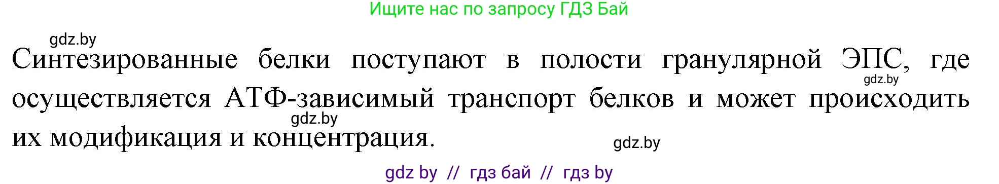Биология, 11 класс рабочая тетрадь, автор: Хруцкая Тамара Викторовна, издательство Аверсэв, Минск, 2021, зелёного цвета, страница 25, номер 2, Решение