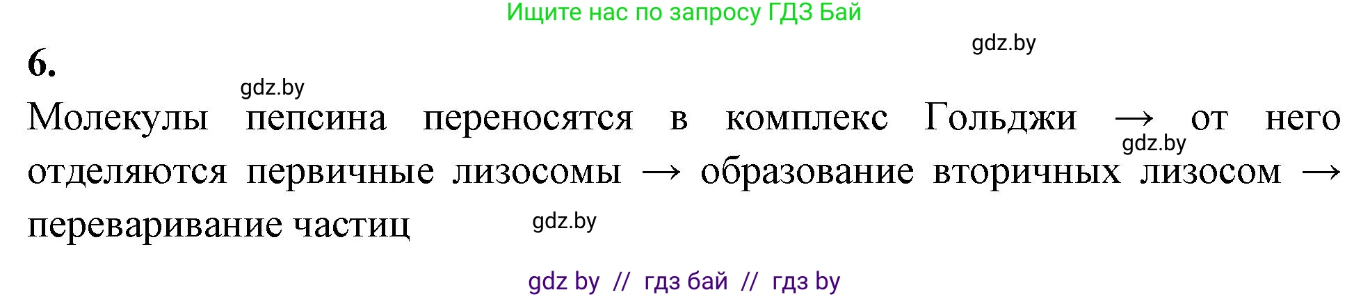 Биология, 11 класс рабочая тетрадь, автор: Хруцкая Тамара Викторовна, издательство Аверсэв, Минск, 2021, зелёного цвета, страница 26, номер 6, Решение