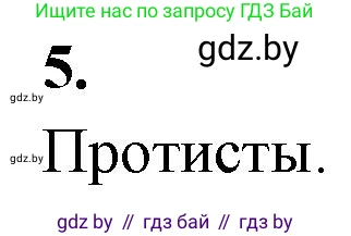 Биология, 11 класс рабочая тетрадь, автор: Хруцкая Тамара Викторовна, издательство Аверсэв, Минск, 2021, зелёного цвета, страница 30, номер 5, Решение