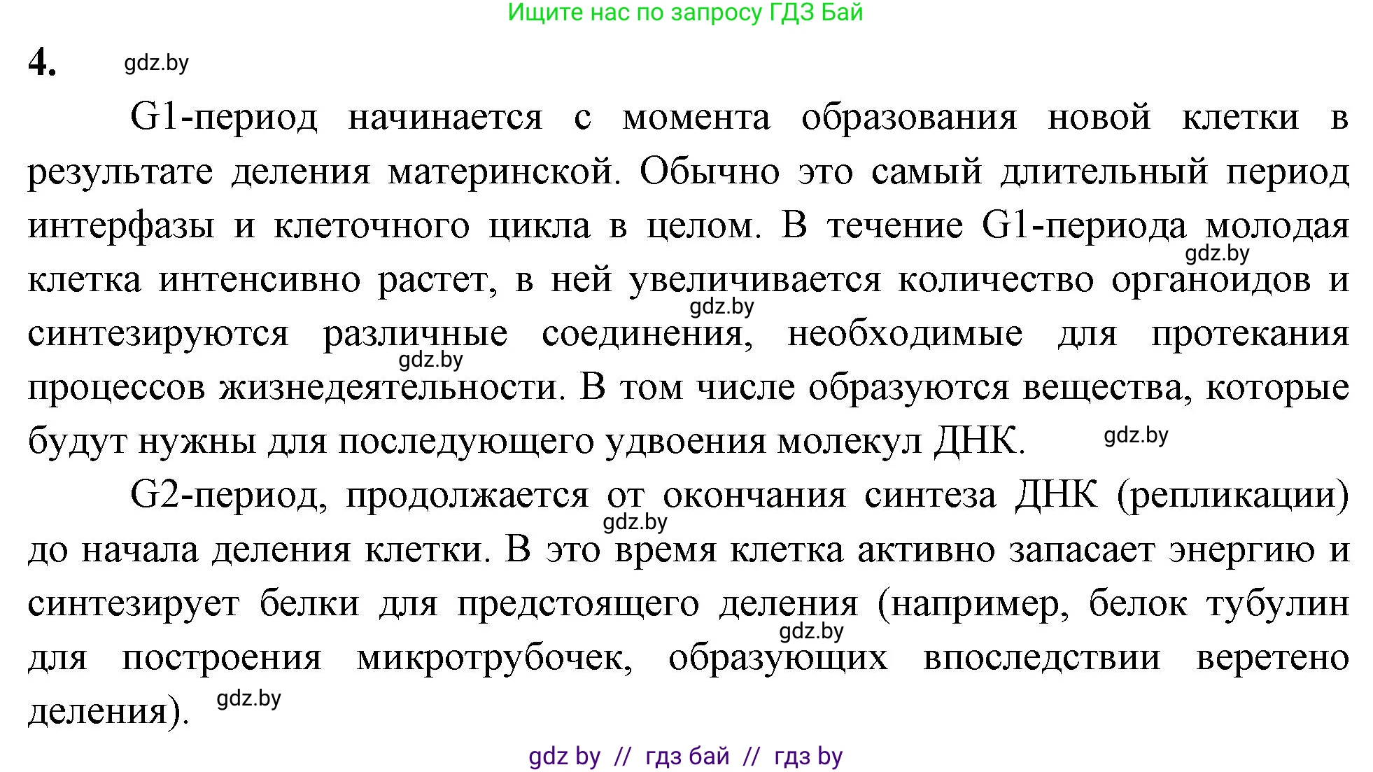 Биология, 11 класс рабочая тетрадь, автор: Хруцкая Тамара Викторовна, издательство Аверсэв, Минск, 2021, зелёного цвета, страница 32, номер 4, Решение