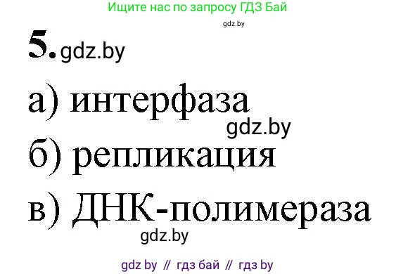 Биология, 11 класс рабочая тетрадь, автор: Хруцкая Тамара Викторовна, издательство Аверсэв, Минск, 2021, зелёного цвета, страница 32, номер 5, Решение