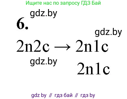 Биология, 11 класс рабочая тетрадь, автор: Хруцкая Тамара Викторовна, издательство Аверсэв, Минск, 2021, зелёного цвета, страница 35, номер 6, Решение