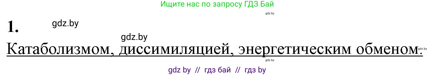 Биология, 11 класс рабочая тетрадь, автор: Хруцкая Тамара Викторовна, издательство Аверсэв, Минск, 2021, зелёного цвета, страница 40, номер 1, Решение