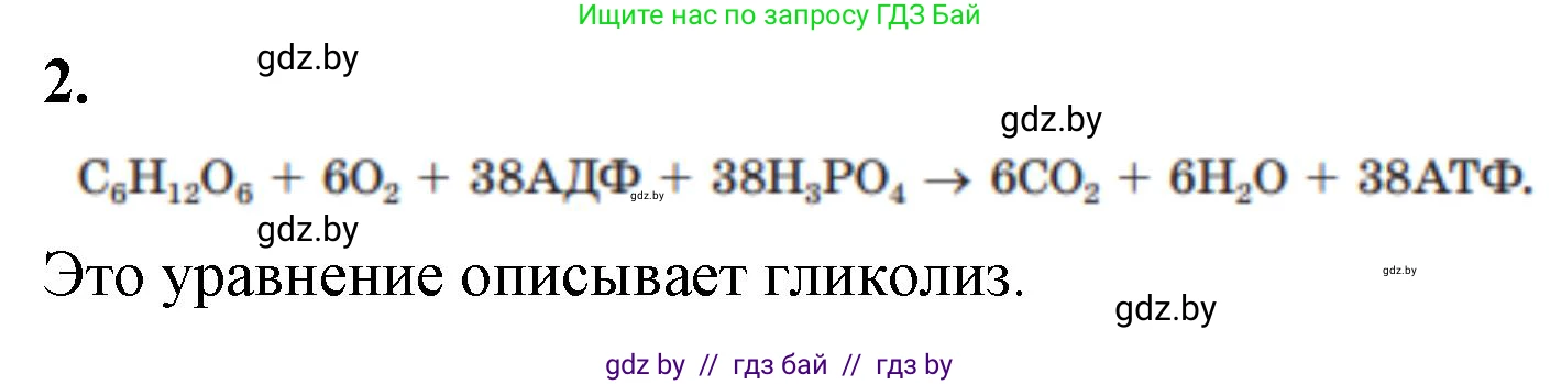 Биология, 11 класс рабочая тетрадь, автор: Хруцкая Тамара Викторовна, издательство Аверсэв, Минск, 2021, зелёного цвета, страница 41, номер 2, Решение