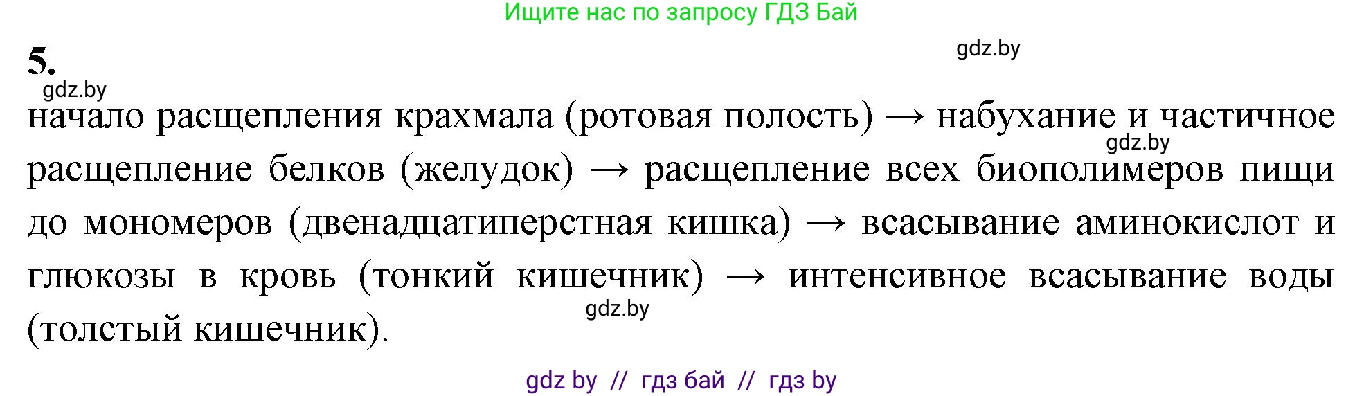 Биология, 11 класс рабочая тетрадь, автор: Хруцкая Тамара Викторовна, издательство Аверсэв, Минск, 2021, зелёного цвета, страница 42, номер 5, Решение