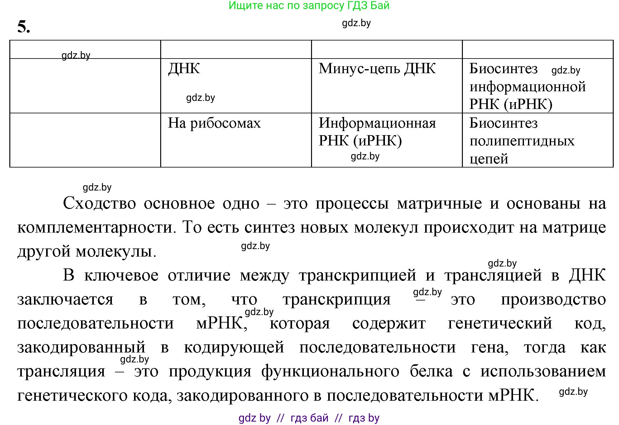 Биология, 11 класс рабочая тетрадь, автор: Хруцкая Тамара Викторовна, издательство Аверсэв, Минск, 2021, зелёного цвета, страница 48, номер 5, Решение