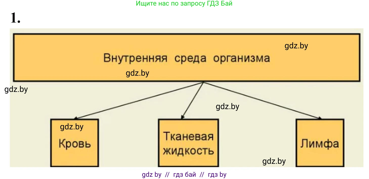Биология, 11 класс рабочая тетрадь, автор: Хруцкая Тамара Викторовна, издательство Аверсэв, Минск, 2021, зелёного цвета, страница 52, номер 1, Решение