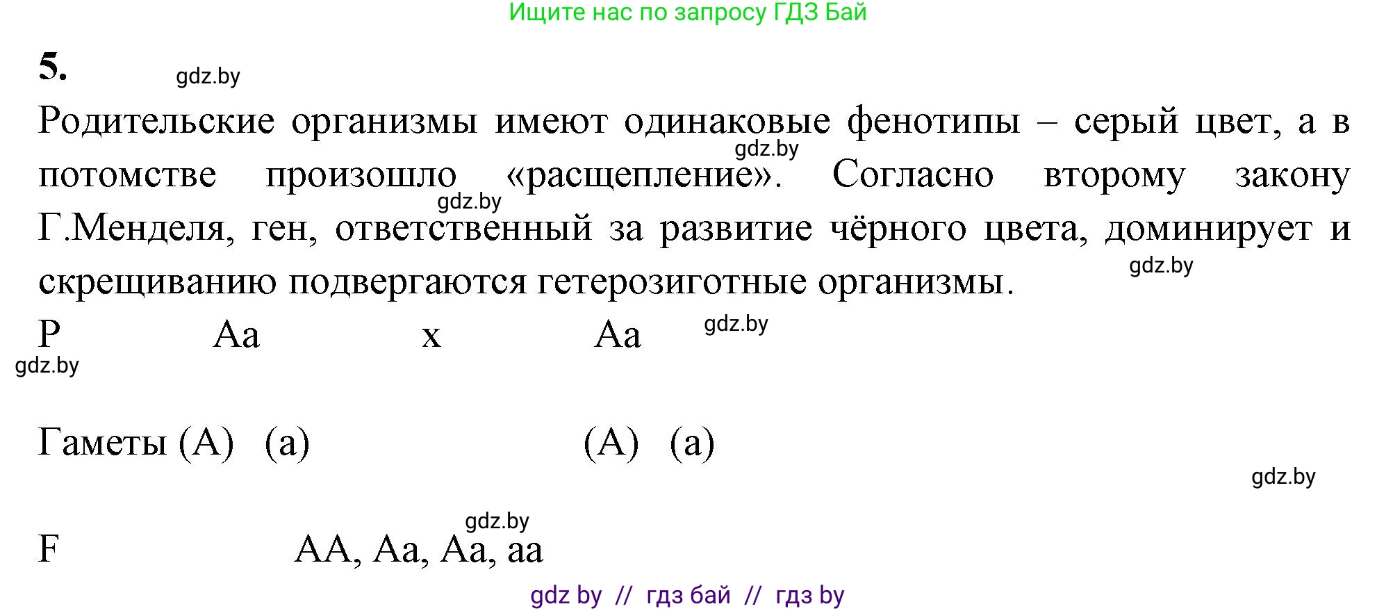 Биология, 11 класс рабочая тетрадь, автор: Хруцкая Тамара Викторовна, издательство Аверсэв, Минск, 2021, зелёного цвета, страница 57, номер 5, Решение