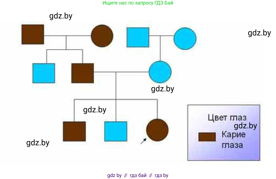 Биология, 11 класс рабочая тетрадь, автор: Хруцкая Тамара Викторовна, издательство Аверсэв, Минск, 2021, зелёного цвета, страница 72, номер 3, Решение