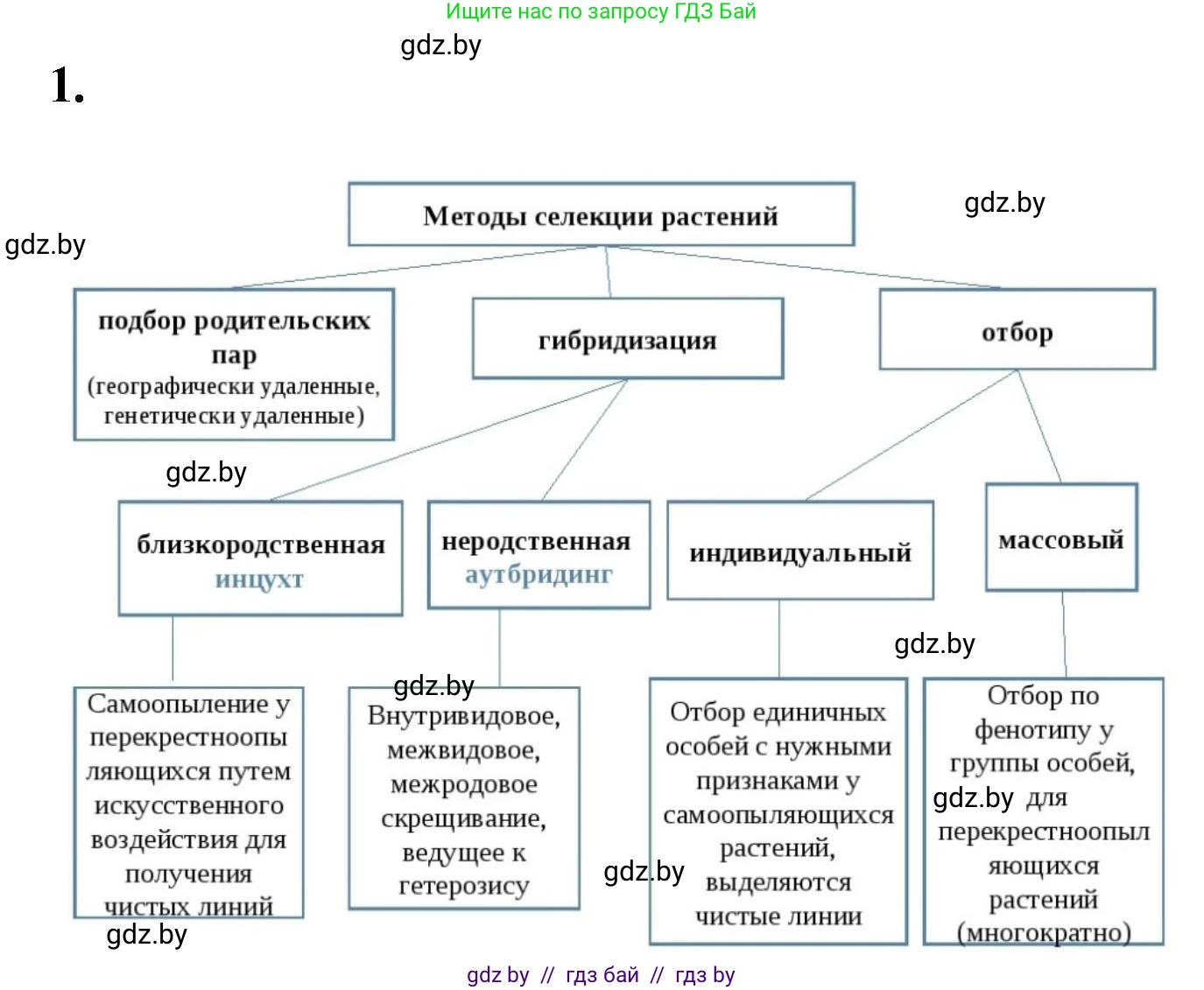 Биология, 11 класс рабочая тетрадь, автор: Хруцкая Тамара Викторовна, издательство Аверсэв, Минск, 2021, зелёного цвета, страница 75, номер 1, Решение