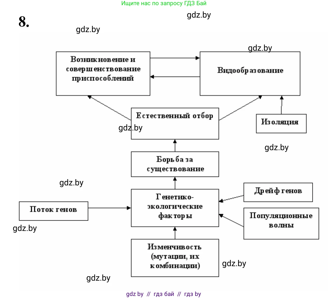 Биология, 11 класс рабочая тетрадь, автор: Хруцкая Тамара Викторовна, издательство Аверсэв, Минск, 2021, зелёного цвета, страница 91, номер 8, Решение