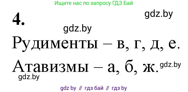 Биология, 11 класс рабочая тетрадь, автор: Хруцкая Тамара Викторовна, издательство Аверсэв, Минск, 2021, зелёного цвета, страница 93, номер 4, Решение
