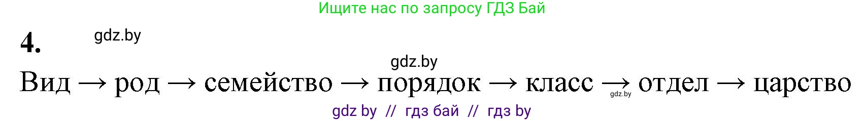 Биология, 11 класс рабочая тетрадь, автор: Хруцкая Тамара Викторовна, издательство Аверсэв, Минск, 2021, зелёного цвета, страница 99, номер 4, Решение