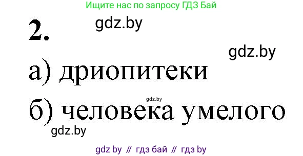 Биология, 11 класс рабочая тетрадь, автор: Хруцкая Тамара Викторовна, издательство Аверсэв, Минск, 2021, зелёного цвета, страница 104, номер 2, Решение