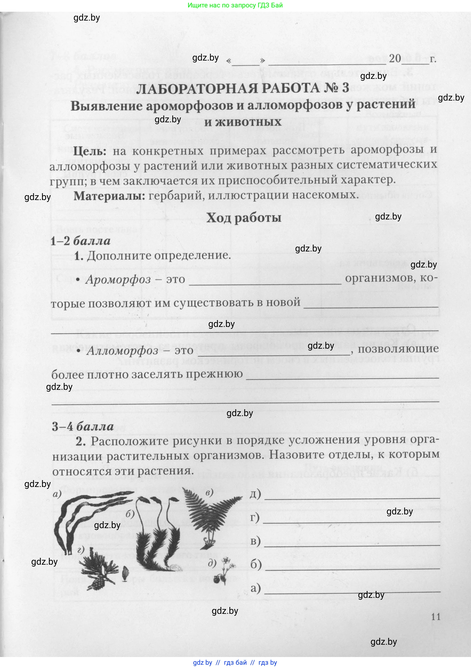 Биология, 11 класс тетрадь для практических и лабораторных работ, экскурсий, автор: Новик Ирина Михайловна, издательство Сэр-Вит, Минск, 2019, розового цвета, страница 11