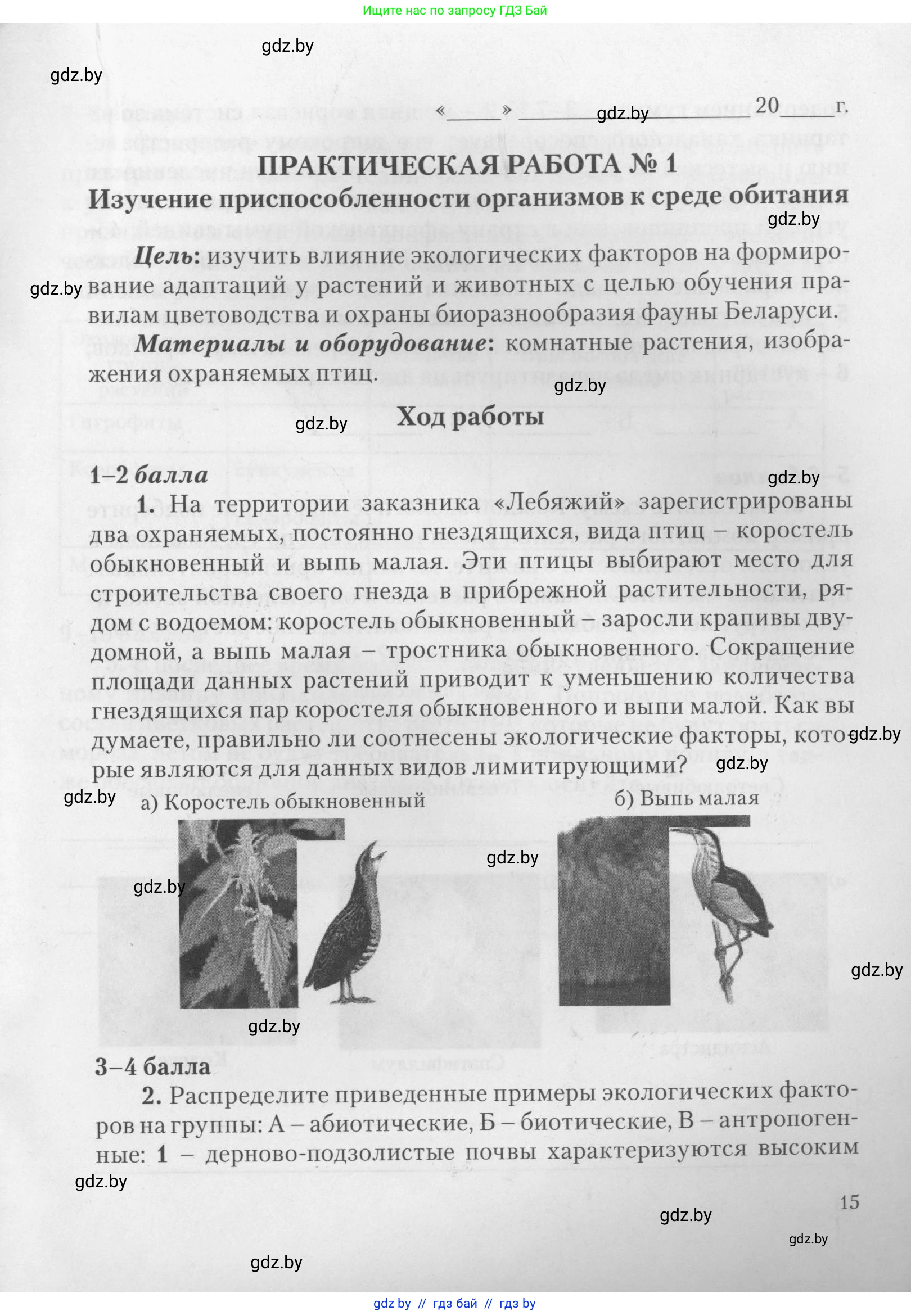 Биология, 11 класс тетрадь для практических и лабораторных работ, экскурсий, автор: Новик Ирина Михайловна, издательство Сэр-Вит, Минск, 2019, розового цвета, страница 15