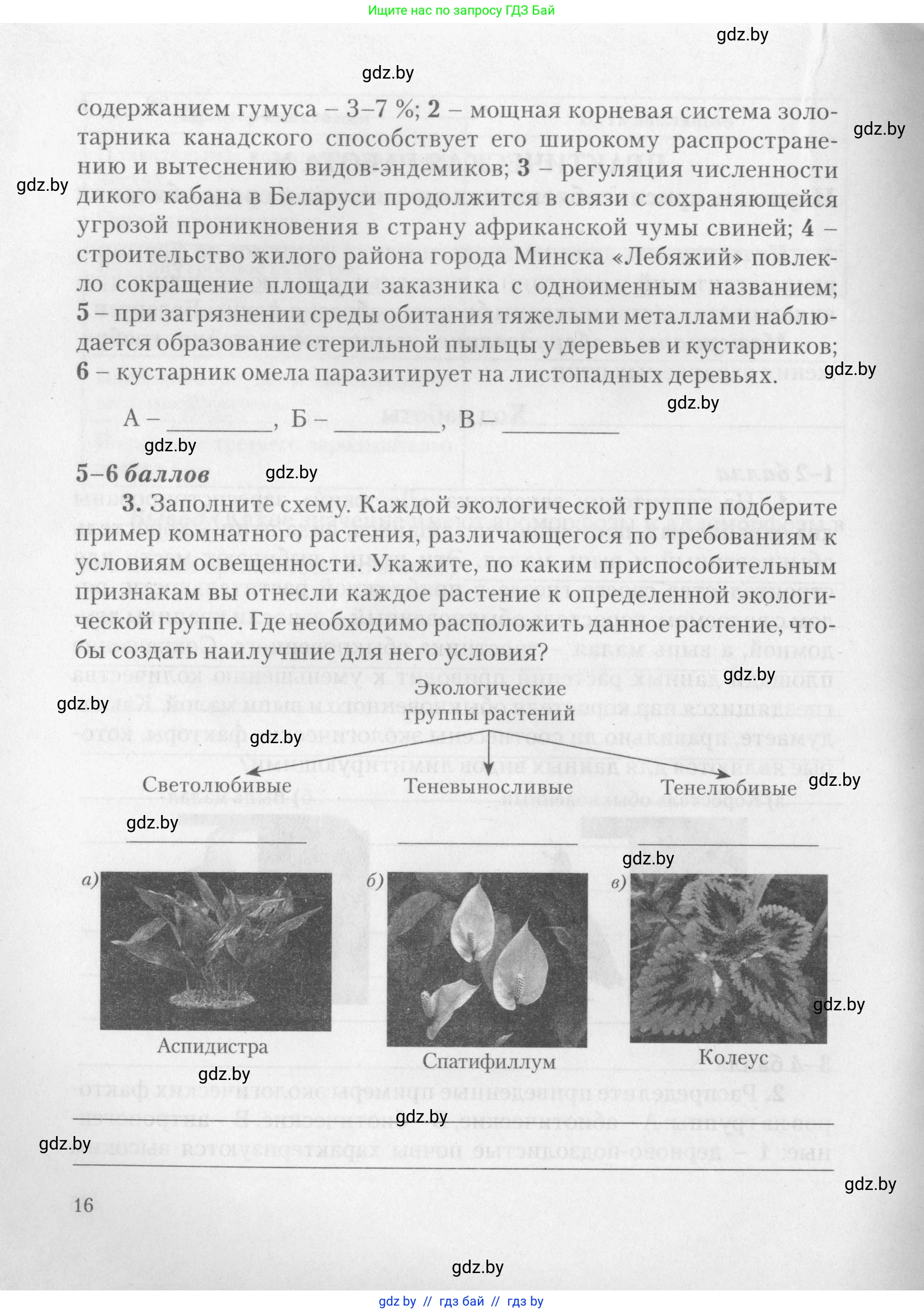 Биология, 11 класс тетрадь для практических и лабораторных работ, экскурсий, автор: Новик Ирина Михайловна, издательство Сэр-Вит, Минск, 2019, розового цвета, страница 16
