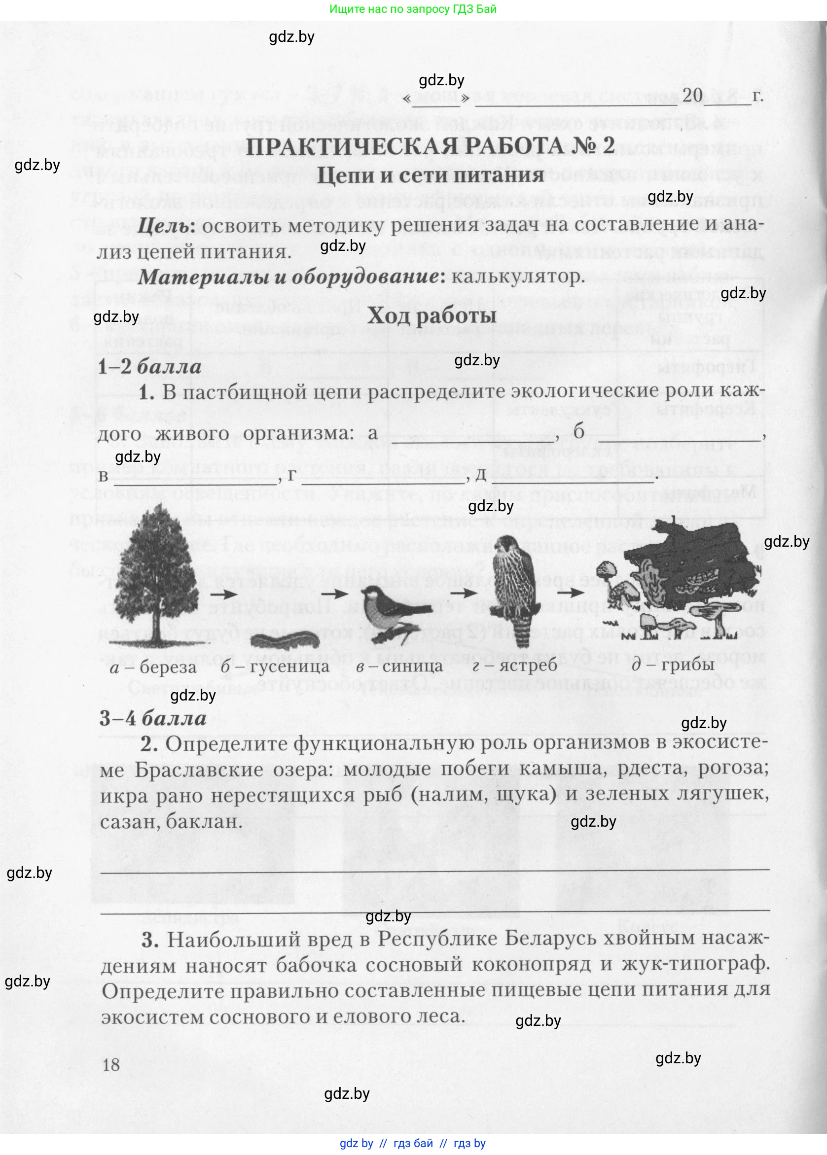 Биология, 11 класс тетрадь для практических и лабораторных работ, экскурсий, автор: Новик Ирина Михайловна, издательство Сэр-Вит, Минск, 2019, розового цвета, страница 18