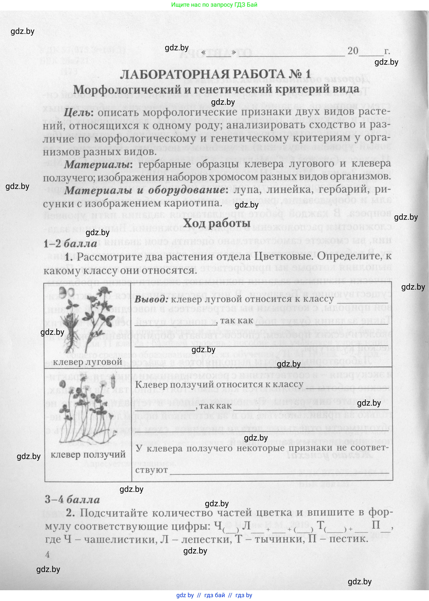 Биология, 11 класс тетрадь для практических и лабораторных работ, экскурсий, автор: Новик Ирина Михайловна, издательство Сэр-Вит, Минск, 2019, розового цвета, страница 4