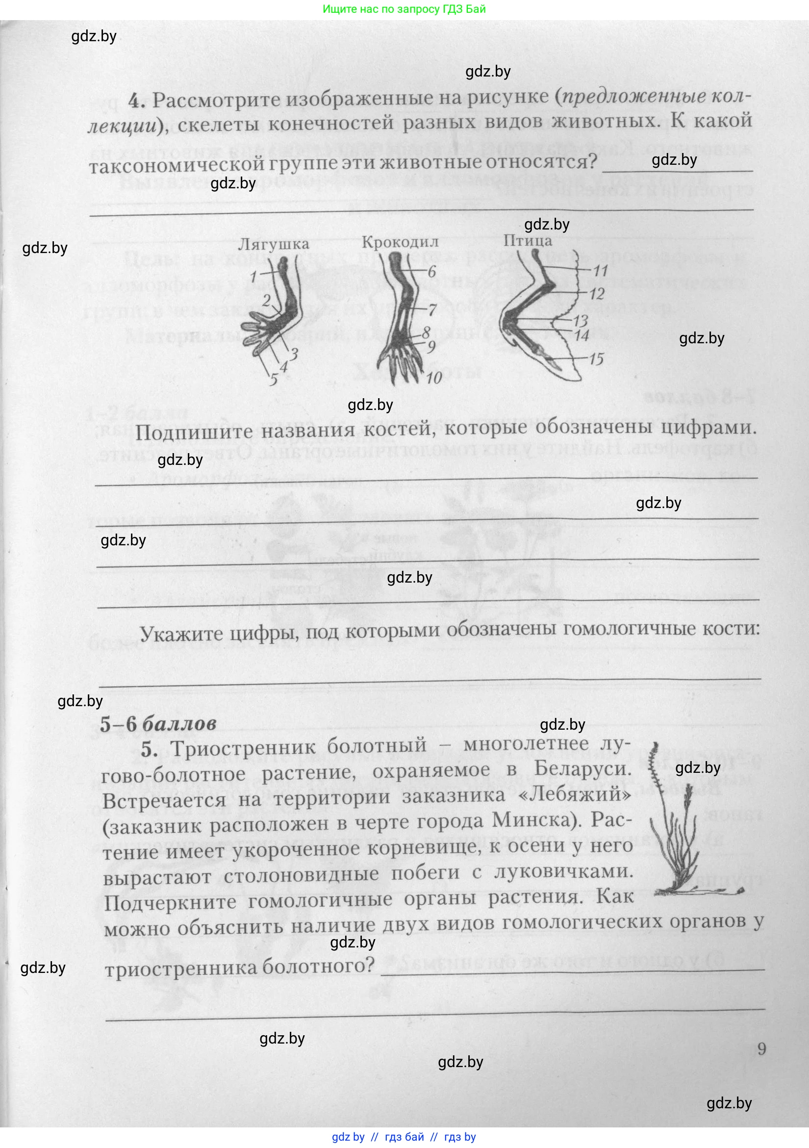 Биология, 11 класс тетрадь для практических и лабораторных работ, экскурсий, автор: Новик Ирина Михайловна, издательство Сэр-Вит, Минск, 2019, розового цвета, страница 9