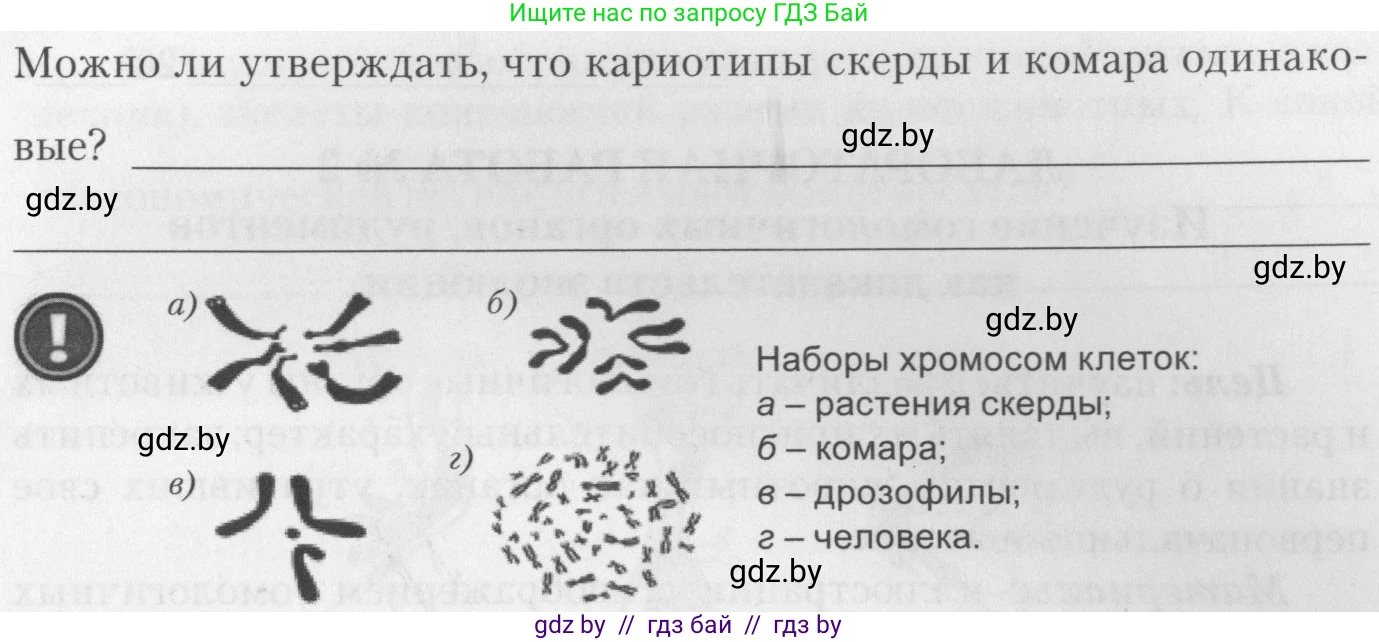 Биология, 11 класс тетрадь для практических и лабораторных работ, экскурсий, автор: Новик Ирина Михайловна, издательство Сэр-Вит, Минск, 2019, розового цвета, страница 6, номер 6, Условие (продолжение 2)