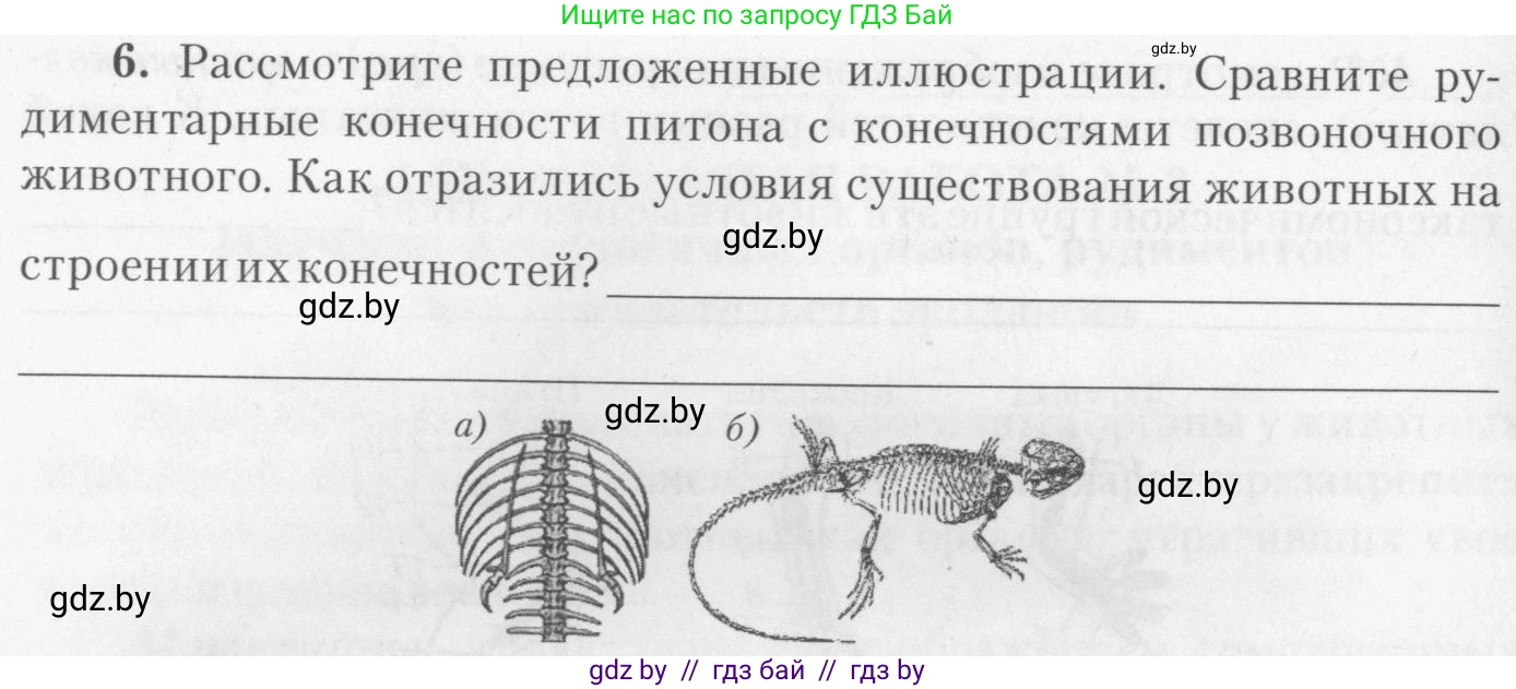Биология, 11 класс тетрадь для практических и лабораторных работ, экскурсий, автор: Новик Ирина Михайловна, издательство Сэр-Вит, Минск, 2019, розового цвета, страница 10, номер 6, Условие