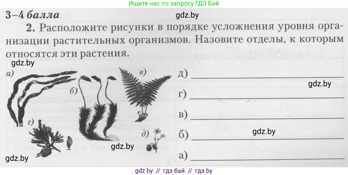Биология, 11 класс тетрадь для практических и лабораторных работ, экскурсий, автор: Новик Ирина Михайловна, издательство Сэр-Вит, Минск, 2019, розового цвета, страница 11, номер 2, Условие