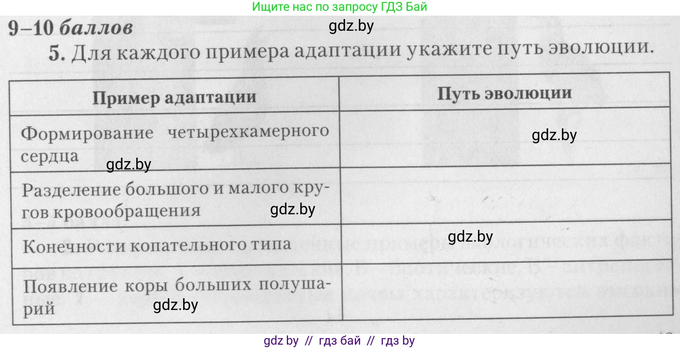 Биология, 11 класс тетрадь для практических и лабораторных работ, экскурсий, автор: Новик Ирина Михайловна, издательство Сэр-Вит, Минск, 2019, розового цвета, страница 13, номер 5, Условие