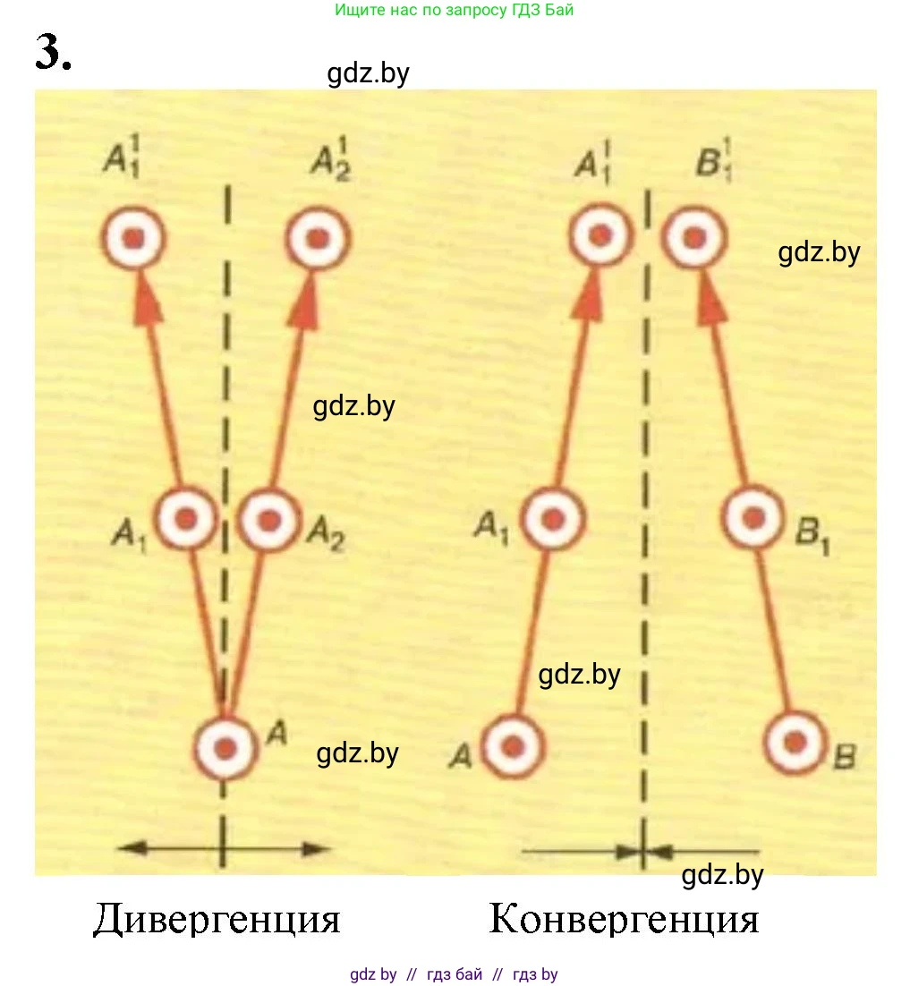 Биология, 11 класс тетрадь для практических и лабораторных работ, экскурсий, автор: Новик Ирина Михайловна, издательство Сэр-Вит, Минск, 2019, розового цвета, страница 8, номер 3, Решение