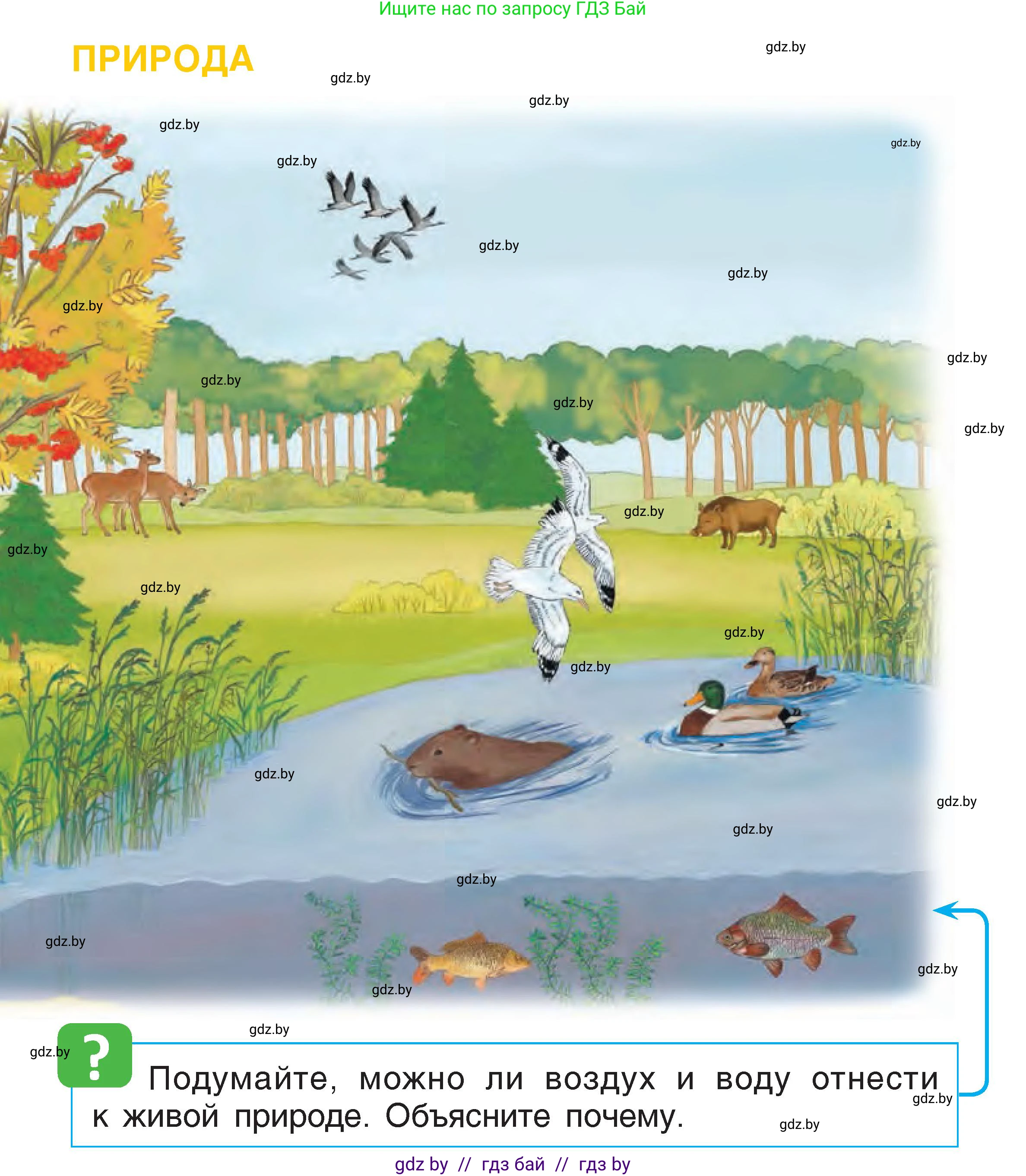 Человек и мир, 1 класс Учебник, авторы: Трафимова Галина Владимировна, Трафимов Сергей Анатольевич, издательство Национальный институт образования, Минск, 2023, салатового цвета, страница 11, Условие