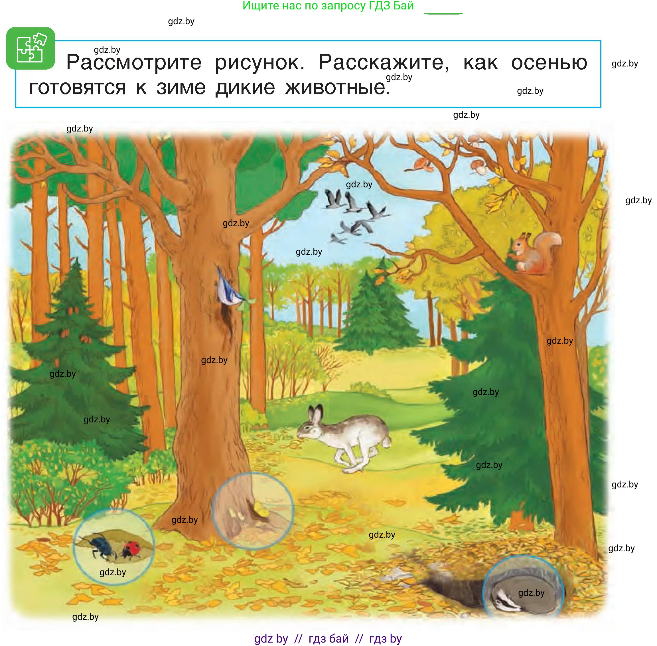 Человек и мир, 1 класс Учебник, авторы: Трафимова Галина Владимировна, Трафимов Сергей Анатольевич, издательство Национальный институт образования, Минск, 2023, салатового цвета, страница 23, Условие