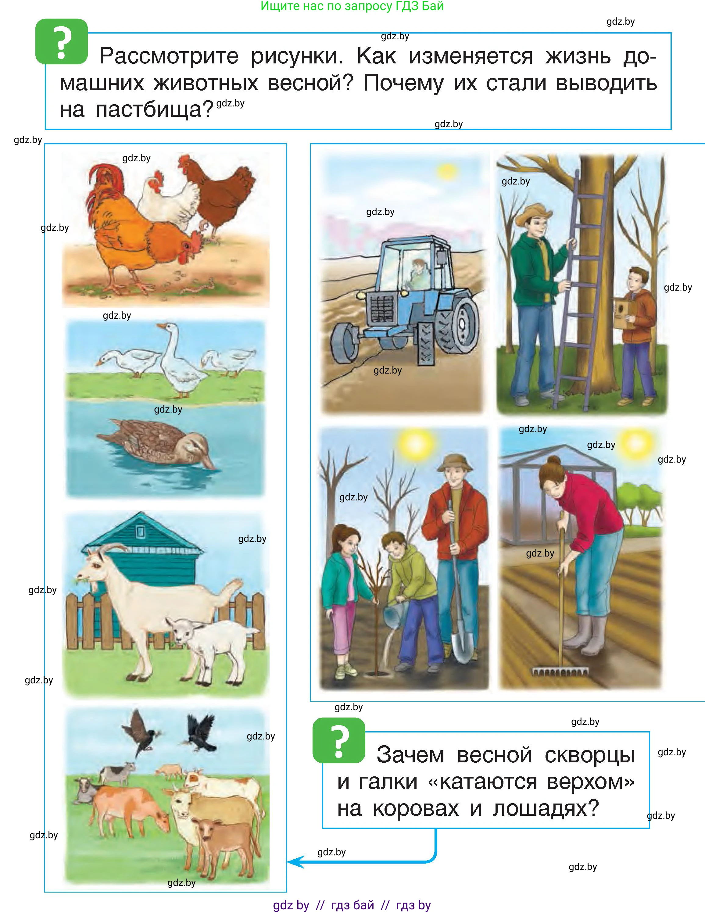 Человек и мир, 1 класс Учебник, авторы: Трафимова Галина Владимировна, Трафимов Сергей Анатольевич, издательство Национальный институт образования, Минск, 2023, салатового цвета, страница 66, Условие