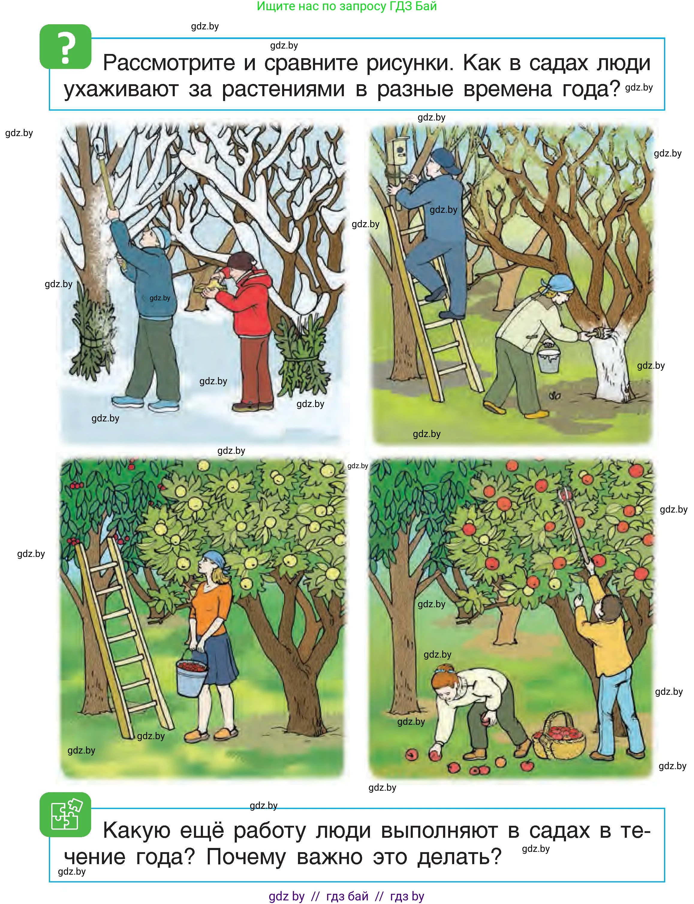 Человек и мир, 1 класс Учебник, авторы: Трафимова Галина Владимировна, Трафимов Сергей Анатольевич, издательство Национальный институт образования, Минск, 2023, салатового цвета, страница 78, Условие