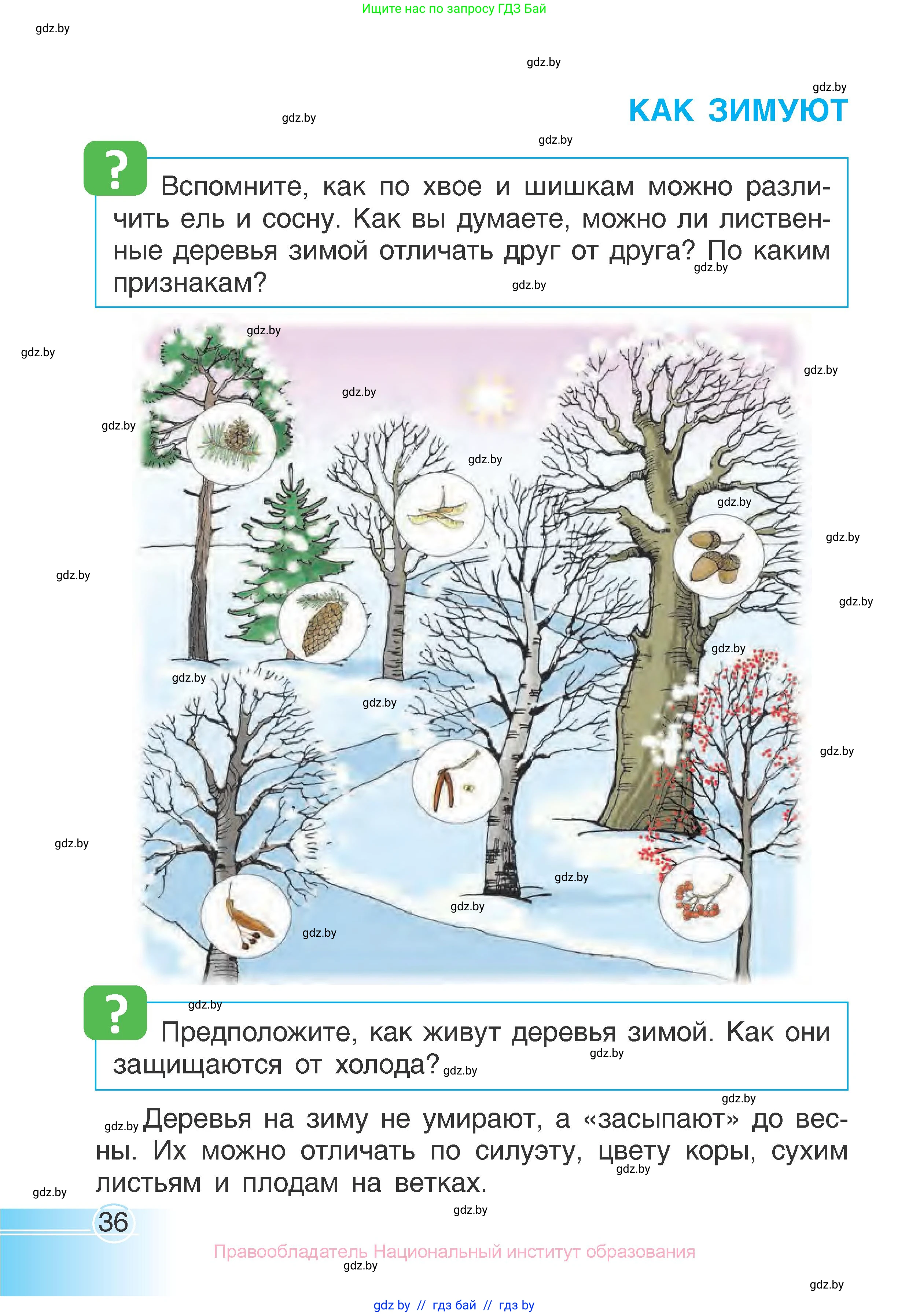 Человек и мир, 1 класс Учебник, авторы: Трафимова Галина Владимировна, Трафимов Сергей Анатольевич, издательство Национальный институт образования, Минск, 2023, салатового цвета, страница 36