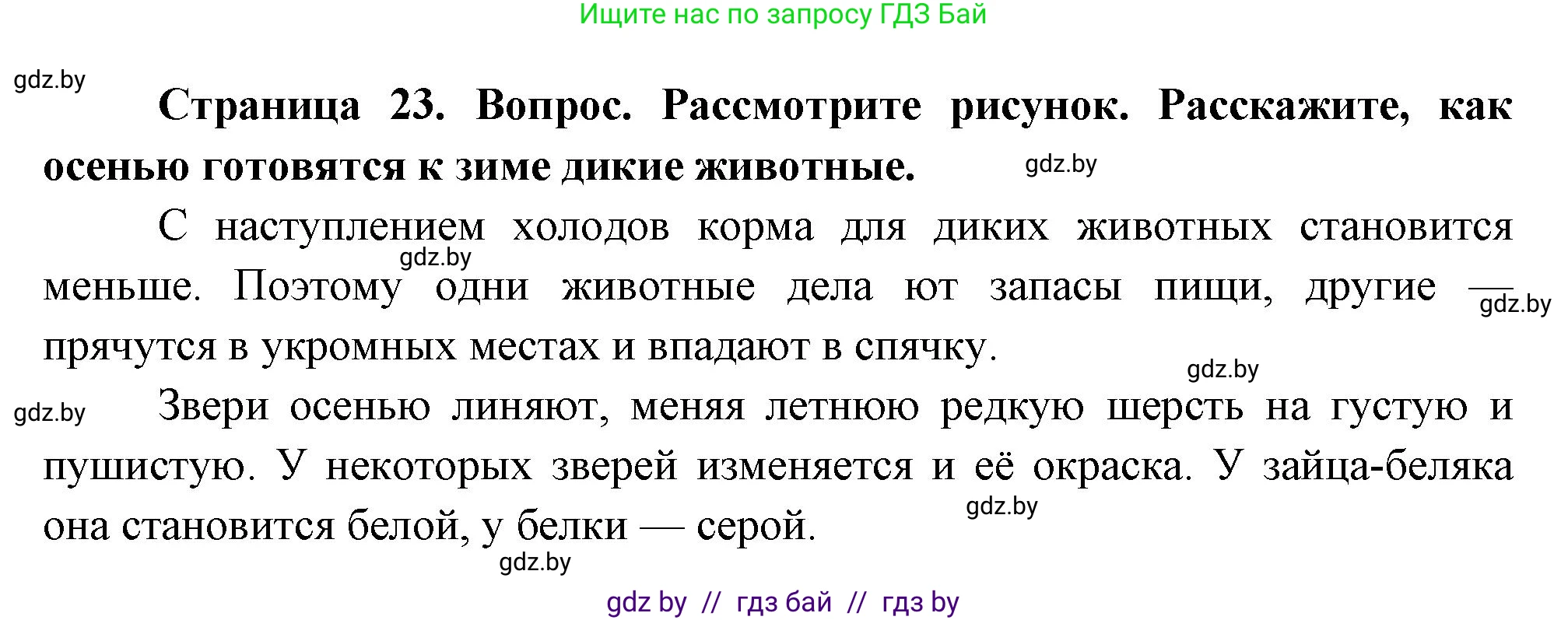 Человек и мир, 1 класс Учебник, авторы: Трафимова Галина Владимировна, Трафимов Сергей Анатольевич, издательство Национальный институт образования, Минск, 2023, салатового цвета, страница 23, Решение