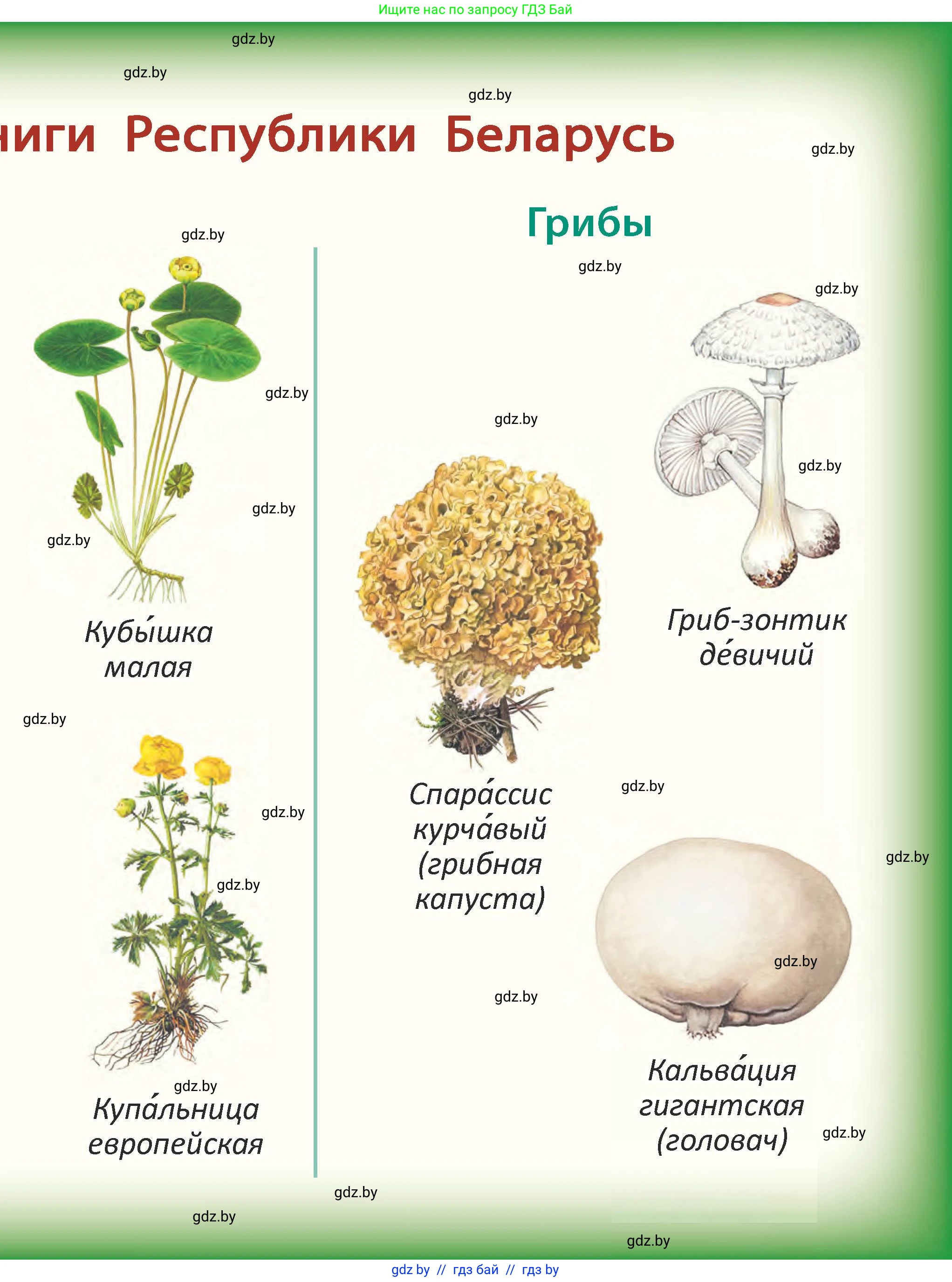 Человек и мир, 2 класс Учебник, авторы: Трафимова Галина Владимировна, Трафимов Сергей Анатольевич, издательство Академия образования, Минск, 2024, 