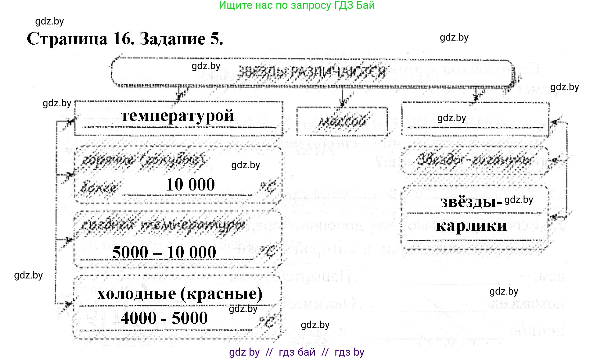 Человек и мир, 5 класс Практикум, авторы: Кольмакова Елена Генадьевна, Сарычева Ольга Владимировна, издательство Аверсэв, Минск, 2022, голубого цвета, страница 16, номер 5, Решение