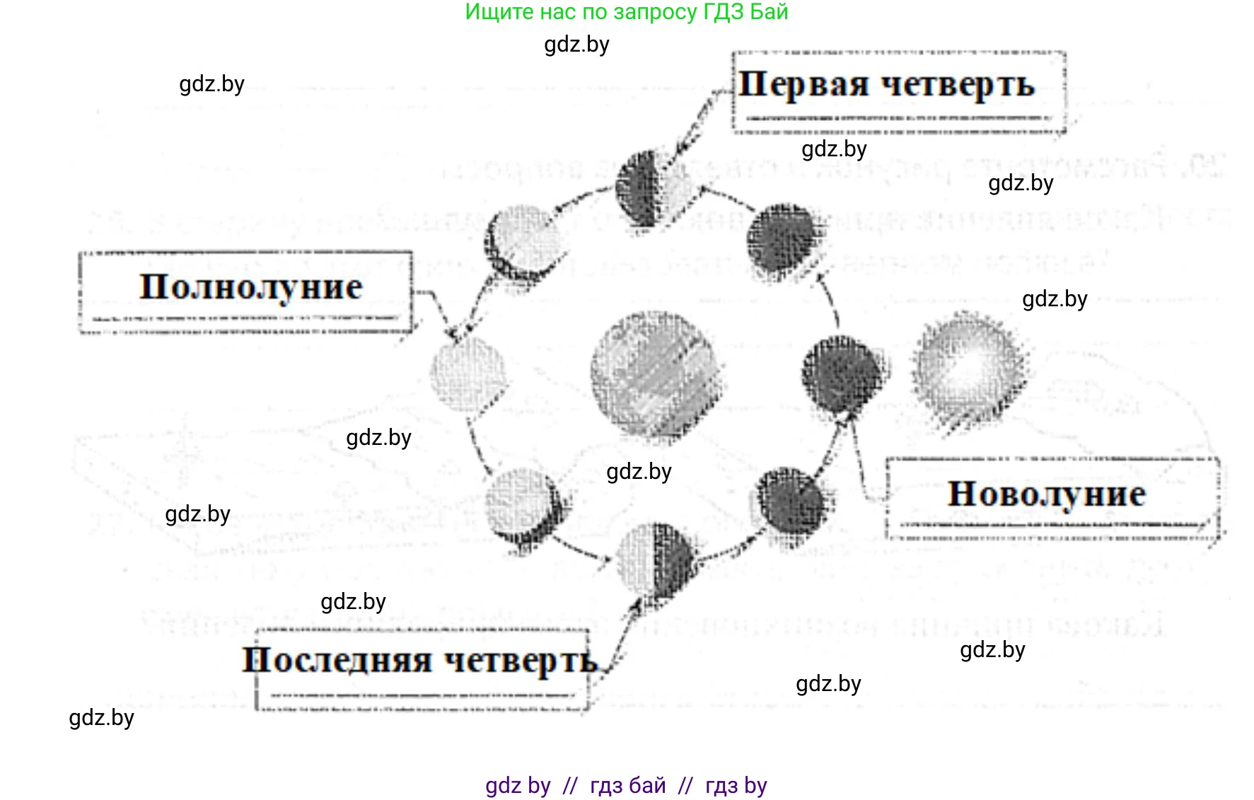 Человек и мир, 5 класс Практикум, авторы: Кольмакова Елена Генадьевна, Сарычева Ольга Владимировна, издательство Аверсэв, Минск, 2022, голубого цвета, страница 31, номер 18, Решение