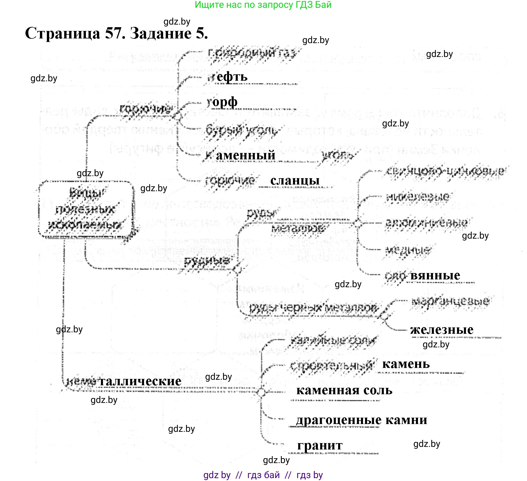 Человек и мир, 5 класс Практикум, авторы: Кольмакова Елена Генадьевна, Сарычева Ольга Владимировна, издательство Аверсэв, Минск, 2022, голубого цвета, страница 57, номер 5, Решение
